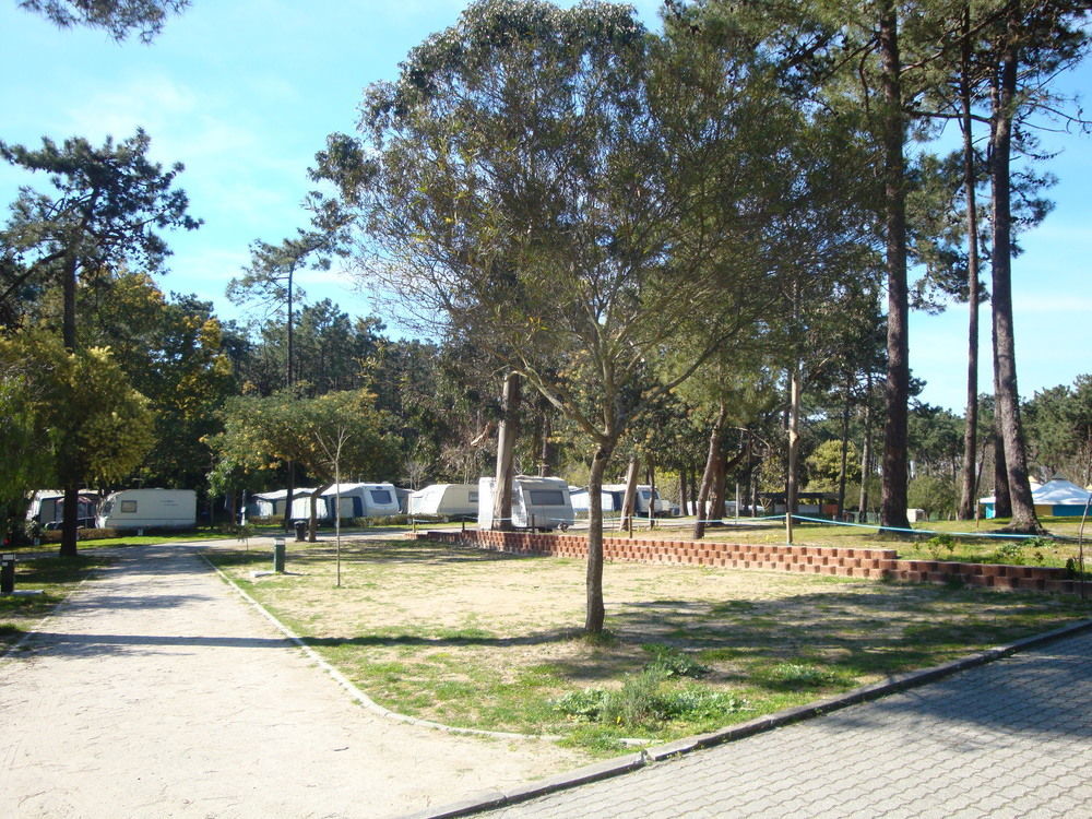 Parque De Campismo Orbitur Caminha酒店 外观 照片